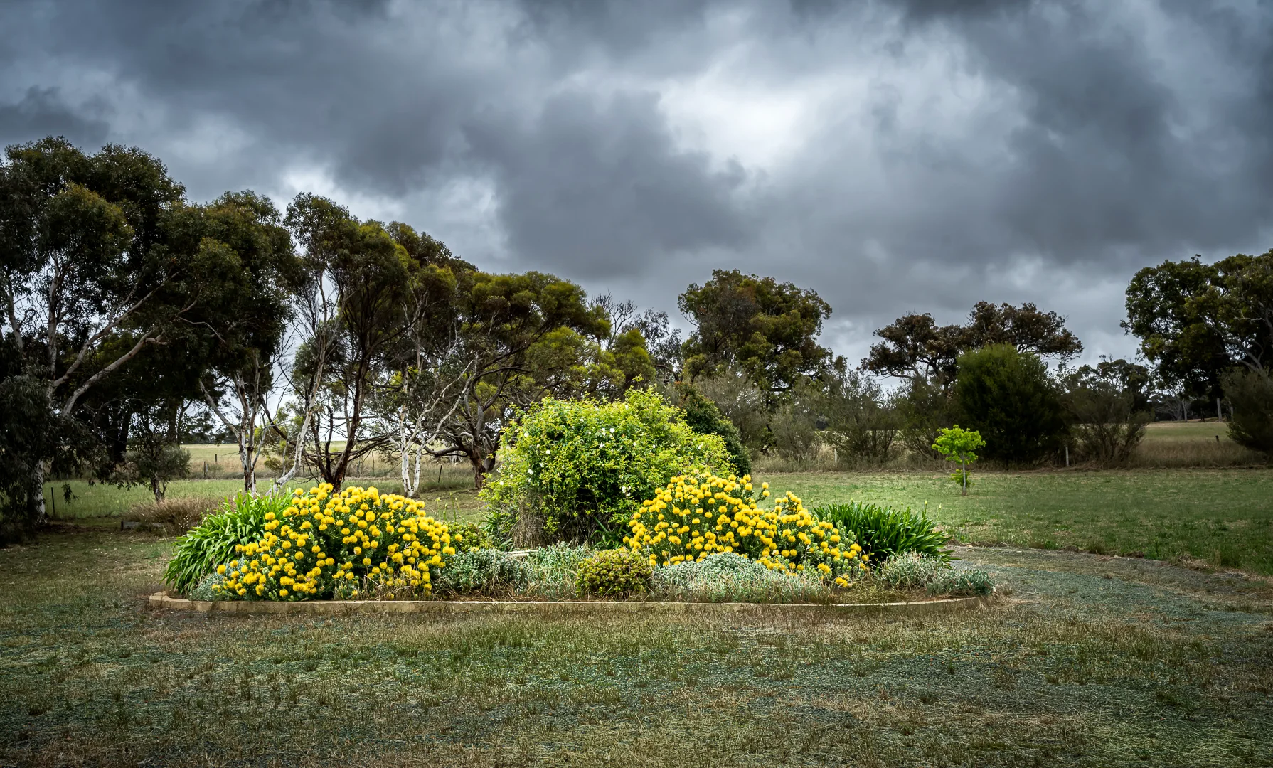The garden and driveway at Onegum beneath a dramatic country sky